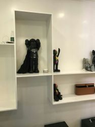 -SALON TV x ILCOLPO