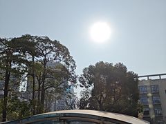 -新世界餐厅(万达店)