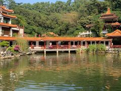 -深圳仙湖植物园-停车场