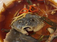 -煲来饱去冷水鱼