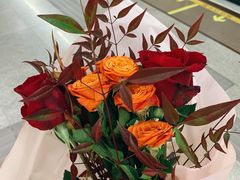 -伯衡55·吉品轩(乌鲁木齐南路店)