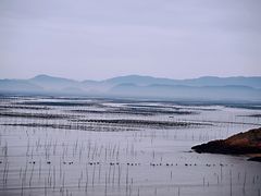 -北岐滩涂