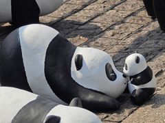 -星光大道