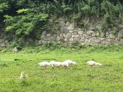 -少华山国家森林公园