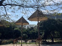 -深圳野生动物园