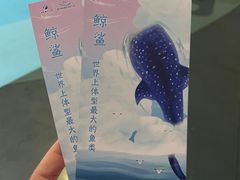 -烟台海昌鲸鲨海洋公园