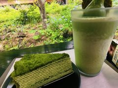 -雪绿茶博物馆