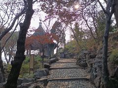 -香雪海