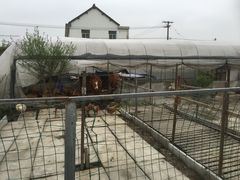 -小鱼草莓采摘园农家乐·小鱼餐厅