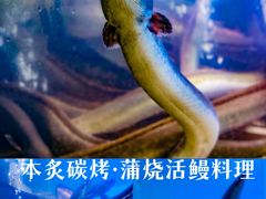 -本炙炭烤·蒲烧活鳗料理店(金沙洲店)
