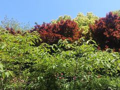 -合肥野生动物园
