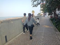 -杨梅坑