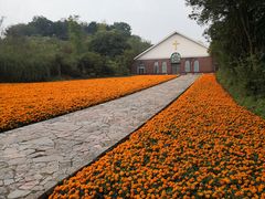 -天目湖涵田度假村
