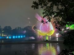 -西湖游船