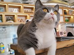 -花十悦·鲜花咖啡餐厅(振业城一期店)