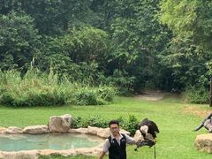 -新加坡飞禽公园