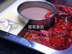 -巴奴毛肚火锅(丛台西路店)