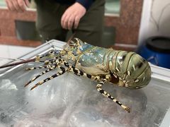 -金源餐馆