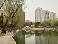 -团结湖公园
