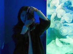 -左海海底世界