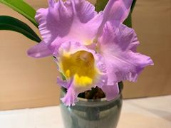 -北京植物园-展览温室