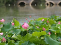 -金山公园