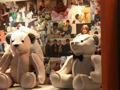 -济州岛泰迪熊博物馆