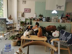 -平行世界·猫咖(首经贸店)
