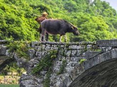 -上甘棠村