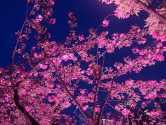 -家烧面馆【南山路知名经典面食】