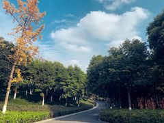 -重庆中央公园(渝北区)