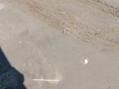 -启东黄金海滩景区