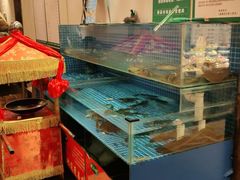 -皖小斌·小葱伴豆腐(丰收路店)