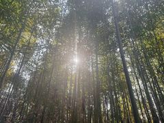 -美心红酒小镇游乐园