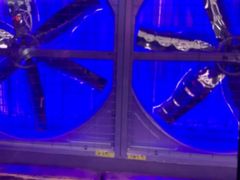 -关你鬼室大型密室逃脱(佛山创意园店)