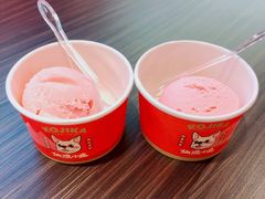 冰淇淋-仙隐小鹿中華の日料(荣民龙首广场店)