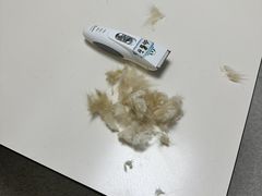 -谐和贝康宠物医院24小时·宠保定点(急重症转诊中心)