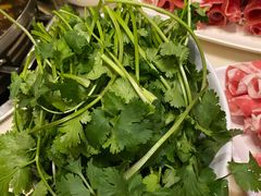 -太婆天府山珍酒楼(亚运村店)