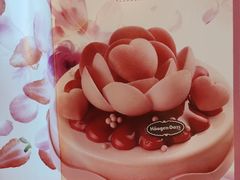 -哈根达斯(深圳海岸城店)