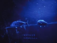 -常州海昌海洋探索馆