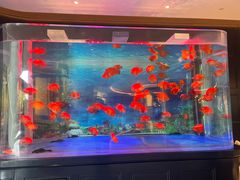 -青岛鑫江温德姆酒店