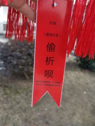 点击看大图 -太湖雪蚕桑文化园