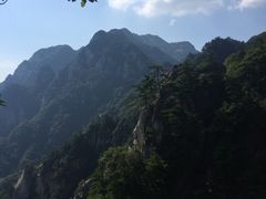 -王顺山国家森林公园