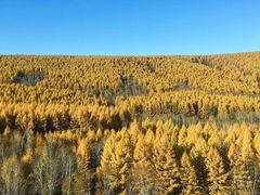 -塞罕坝国家级自然保护区