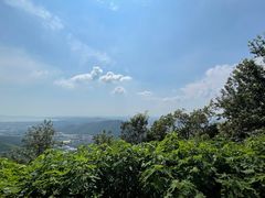-惠山国家森林公园