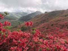 -大围山国家森林公园