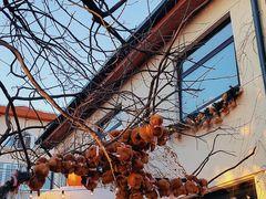 -八大关-近代建筑
