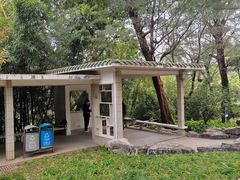 -晓港公园