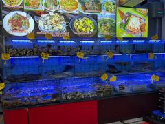 水产区-日照大牌檔•小船海鲜(万平口店)