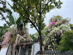 -深圳国际园林花卉博览园